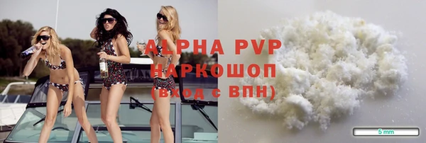 индика Арсеньев