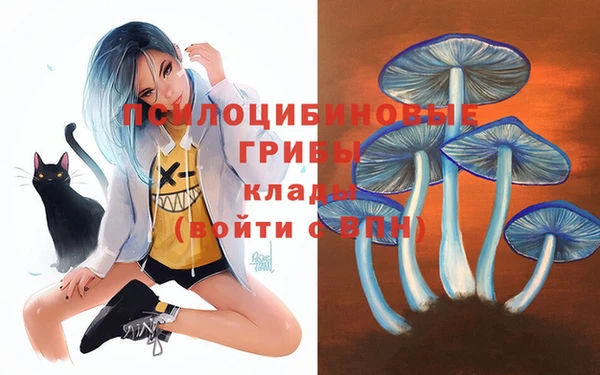 дмт Алексеевка