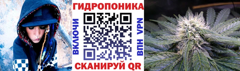 Шишки марихуана VHQ  Судогда 